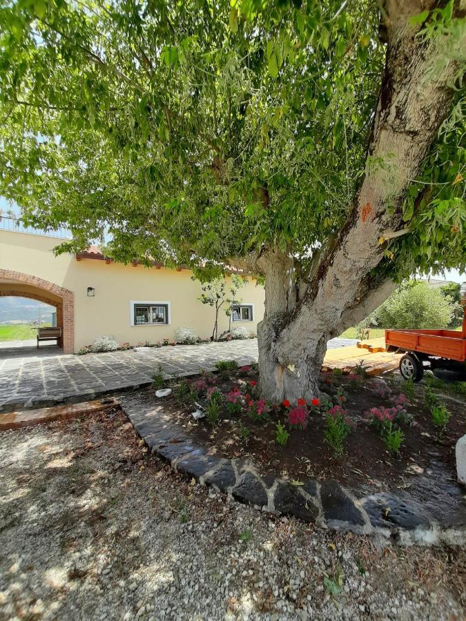 B&B Tenuta San Michele Capaccio Ngoại thất bức ảnh